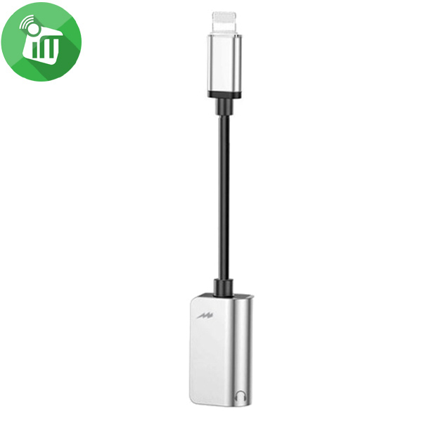 iPower Dual Lightning Audio  Charge Adapter (yix) iMedia Stores
